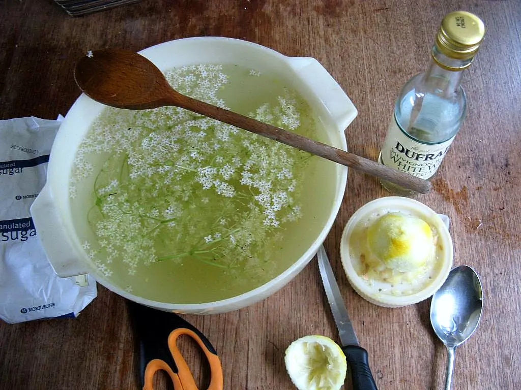 what does elderflower taste like